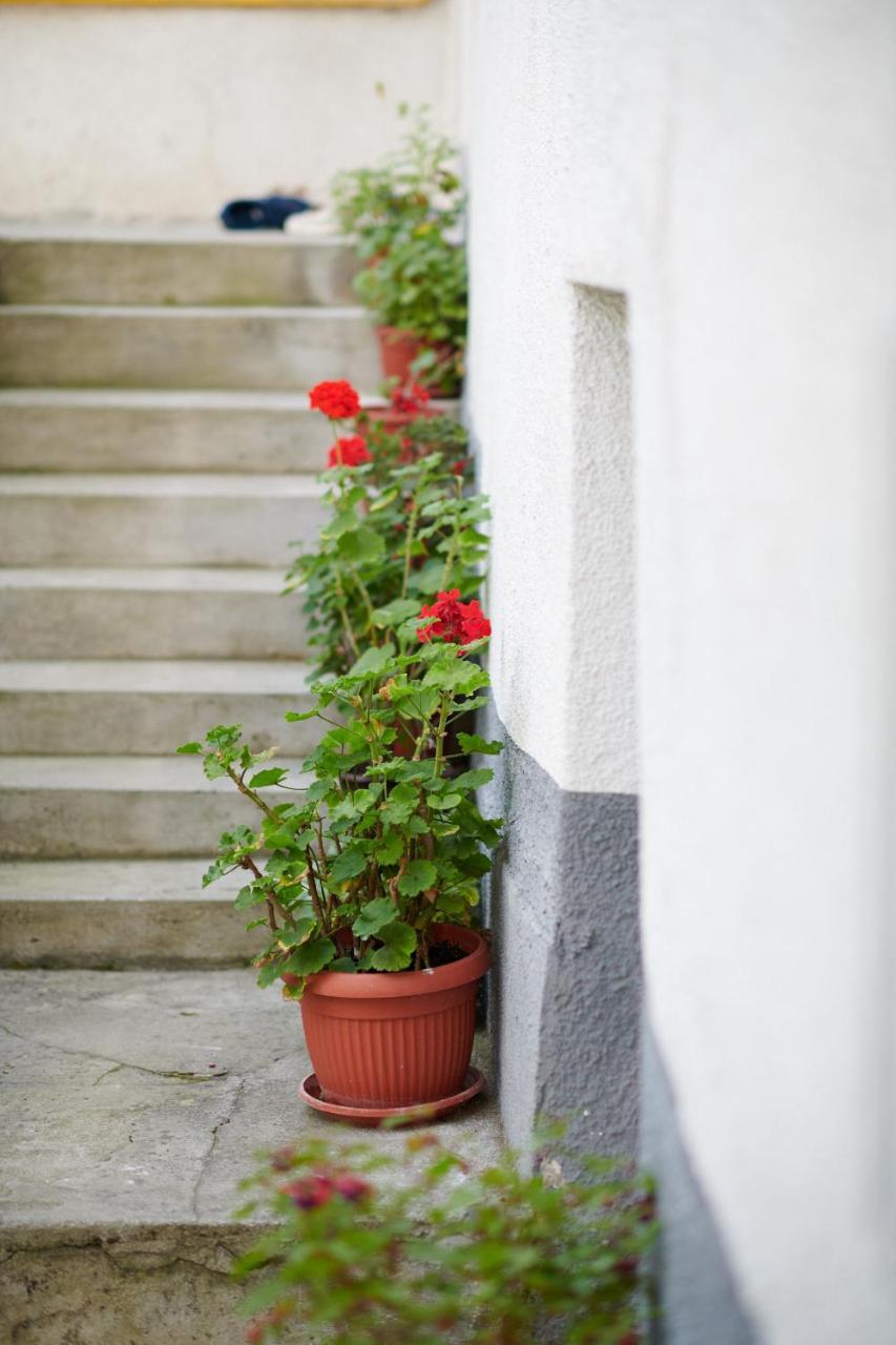 Lovely House Apartment Sarajevo Exterior foto